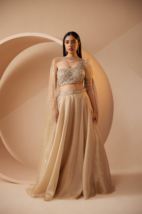 roqa Abira Abira Gold Lehenga Set
