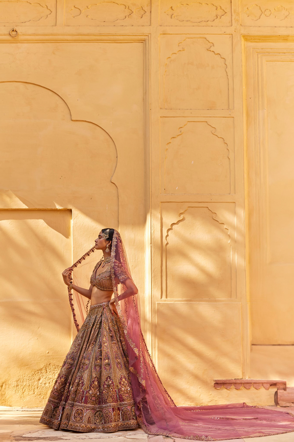 roqa Alima Alima Lehenga set