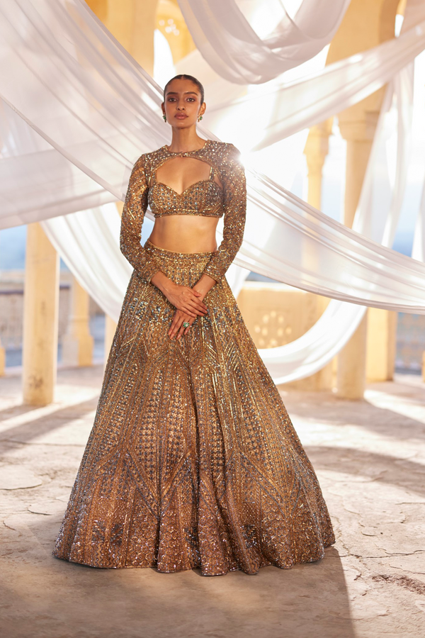 roqa Fareeha Fareeha Lehenga set