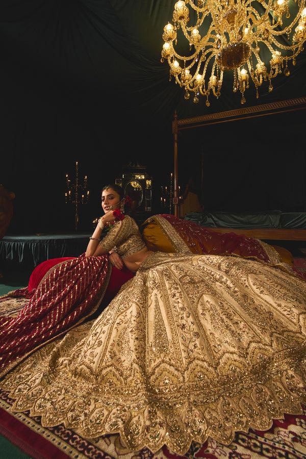 Roqa Zarir Zarir Lehenga Set