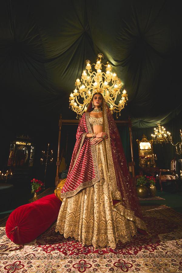 roqa Zarir Zarir Lehenga set