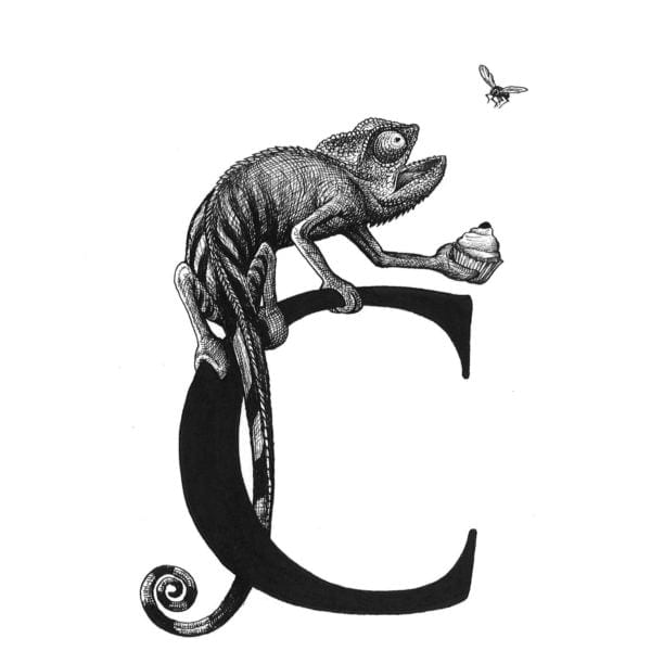 rory dobner C – Cheeky Chameleon Clutching a Cherry Cupcake Intricate Ink Print