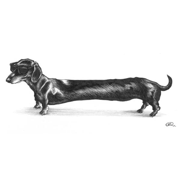 rory dobner Hot Dog’ Dachshund Dog Intricate Ink Print