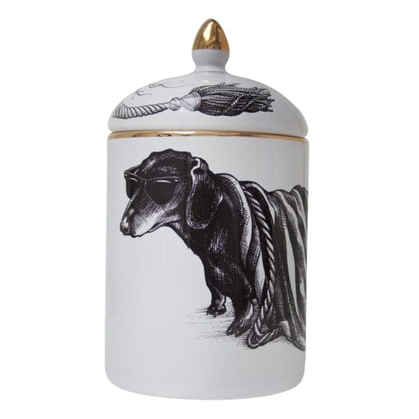 rory dobner Hot Dog’ Dachshund Dog Stripey Cosy Candle