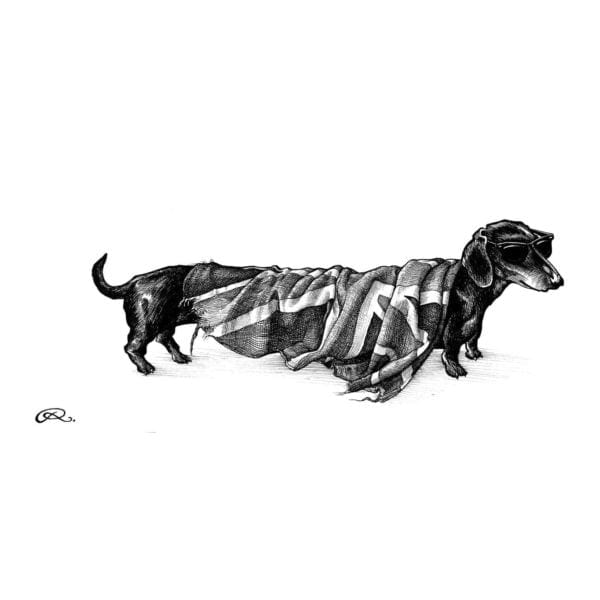 rory dobner Hot Dog’ Dachshund Dog Union Intricate Ink Print