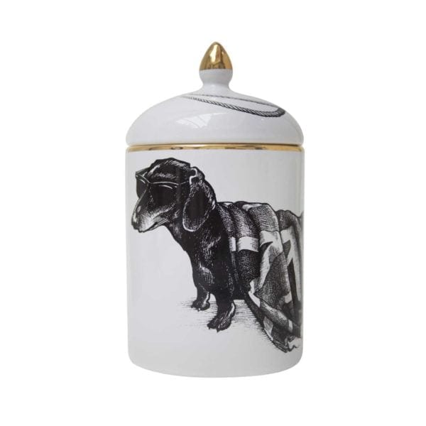rory dobner Hot Dog’ Dachshund Dog Union Jack Popitin Pot