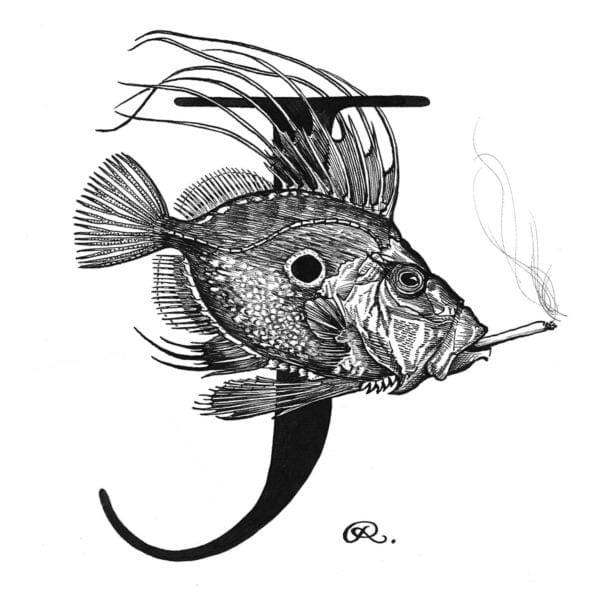 rory dobner J – John Dory with a Joint Intricate Ink Print