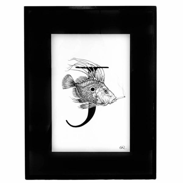 rory dobner John Dory With A Joint’ fish Original Ink in Vintage Black Frame