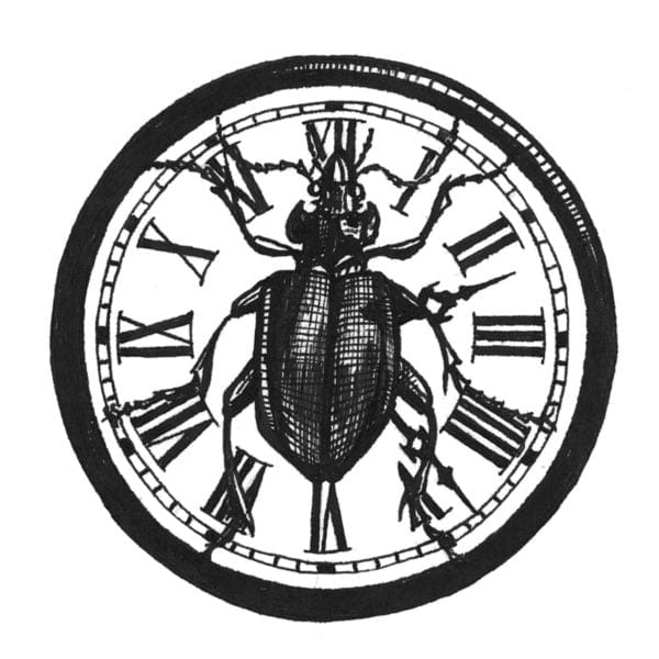 rory dobner Beetleclock Intricate Ink Print