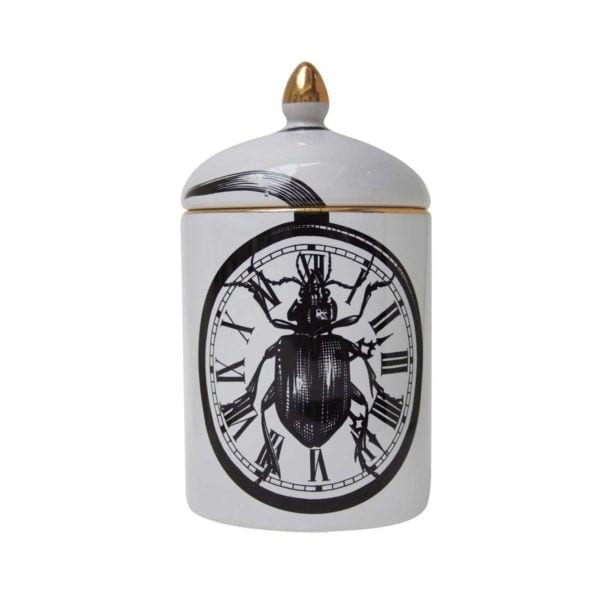 rory dobner Beetleclock Popitin Pot