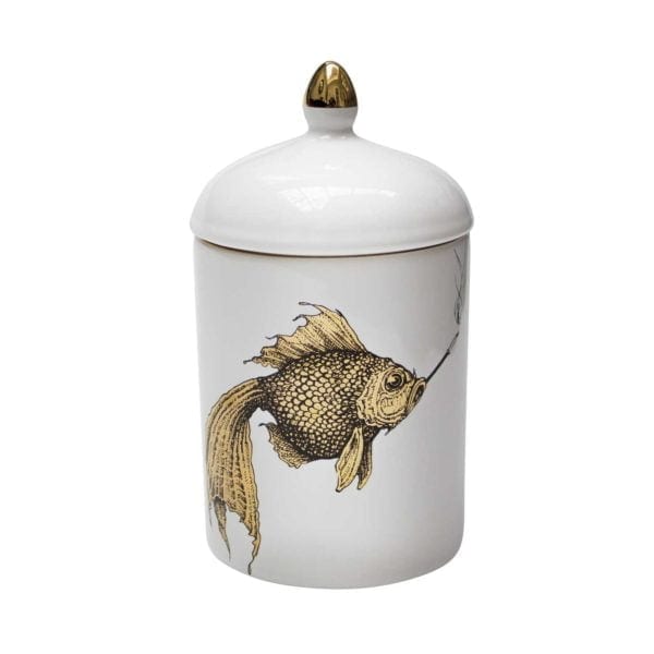 rory dobner Gold Smokey Fish Popitin Pot
