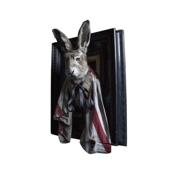 rory dobner Henry – Hare Taxidermy Piece