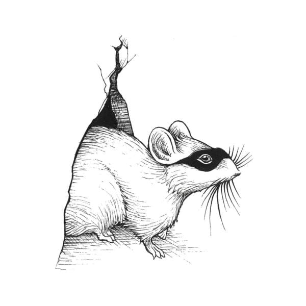 rory dobner Masked Mousie Intricate Ink Print