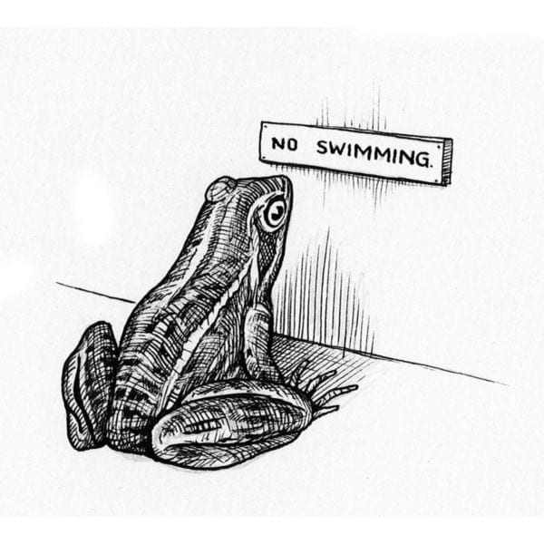rory dobner No Swimming Intricate Ink Print