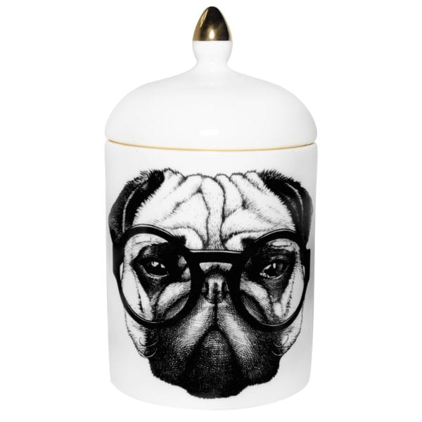 rory dobner Percy Pugworthy’ Pug Dog Popitin Pot