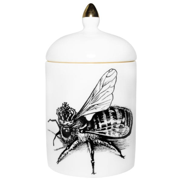 rory dobner Queen Bee Cosy Candle