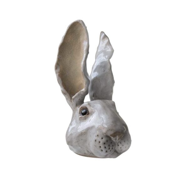 rory dobner Rabbit ?Ed