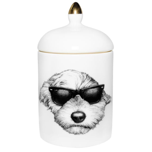 rory dobner Sidney’ Cockapoo Dog Cosy Candle