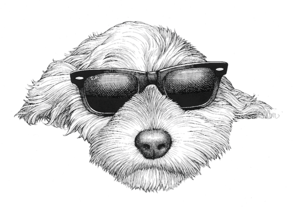 rory dobner Sidney Intricate Ink Print