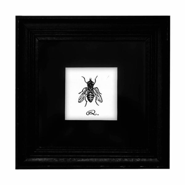 rory dobner Square Framed Fly on The Wall Print