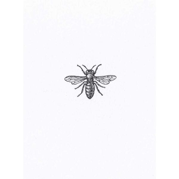 rory dobner Teeny Weeny Bumble Bee Intricate Ink Print