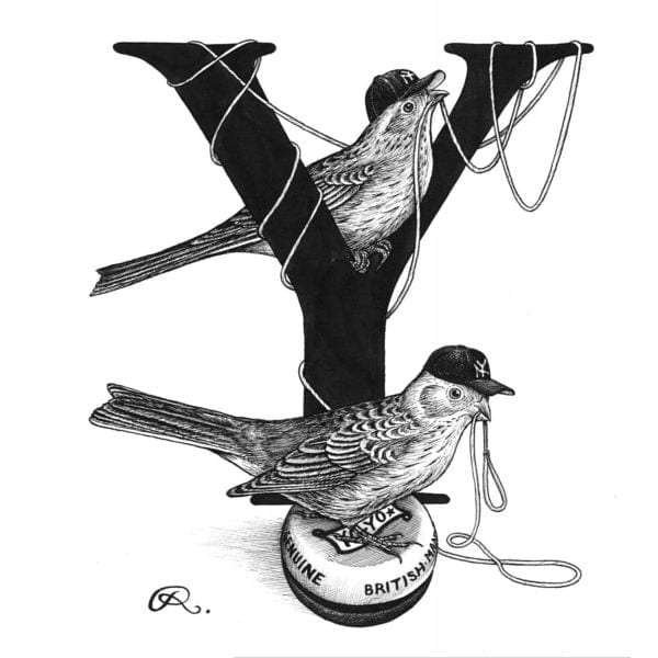 rory dobner Y – Yo Yo Yankee Yellowtail’s Intricate Ink Print
