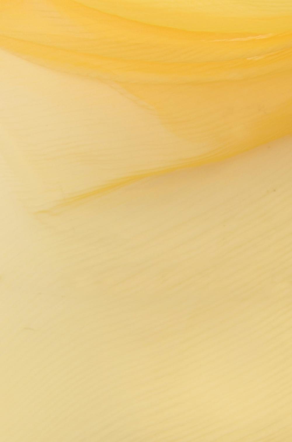 Rosamosario “SILKY DREAMS” GIALLO (ONLY 1 LEFT)