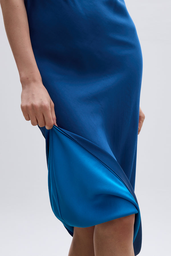 Roses Are Red Charlotte Reversible Dress - BLUE