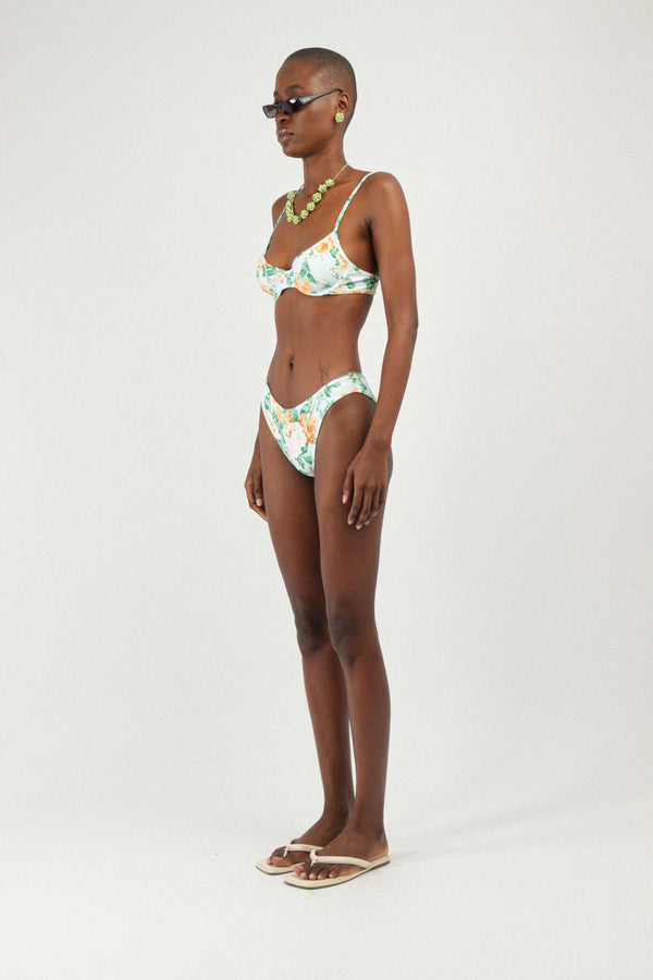 Rowen Rose Floral Printed Bikini