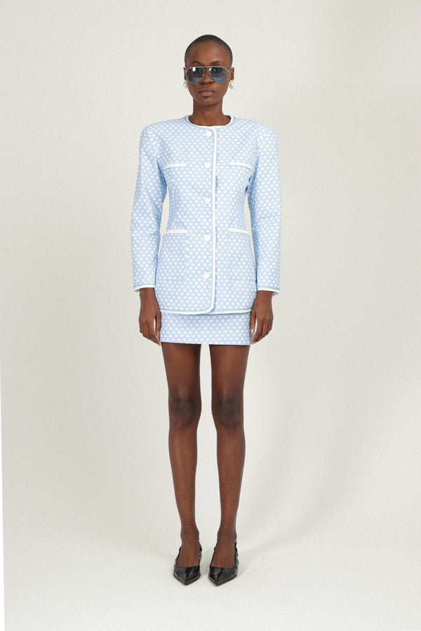 Rowen Rose Mini Skirt In Printed Gabardine