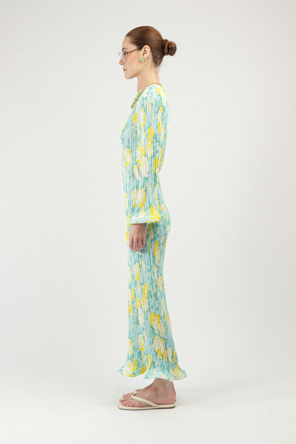 Rowen Rose Pleated Georgette Long Dress