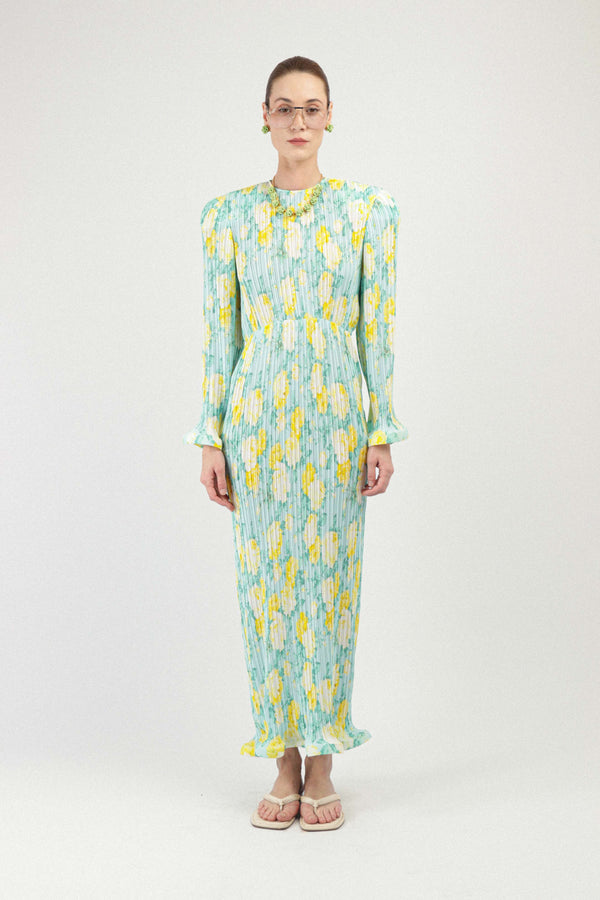 rowen rose Pleated Georgette Long Dress