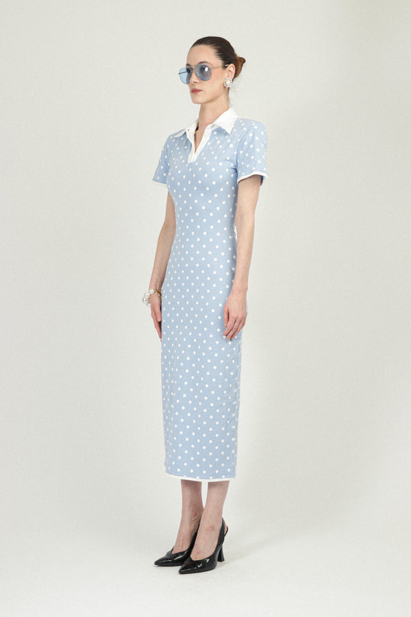 Rowen Rose Polka Dots Jersey Polo Dress