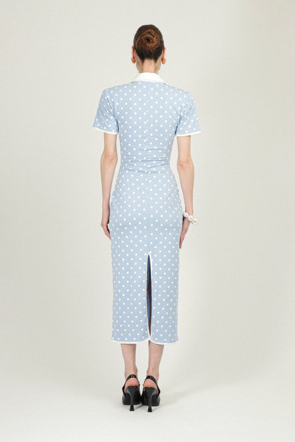 Rowen Rose Polka Dots Jersey Polo Dress