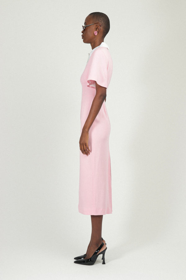 Rowen Rose Polo Dress In Sable