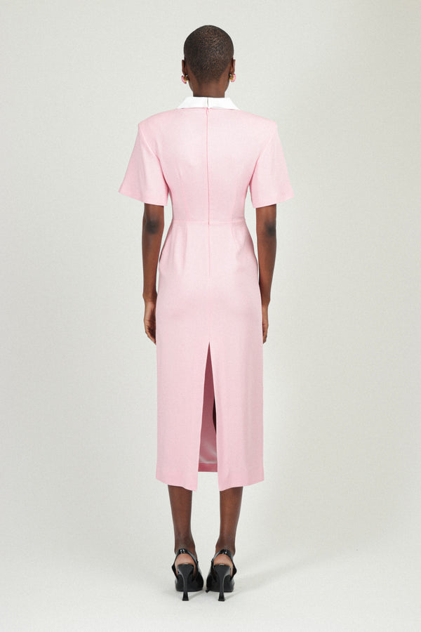 Rowen Rose Polo Dress In Sable
