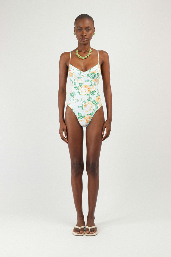 rowen rose Printed Bustier One-piece Swimsuit