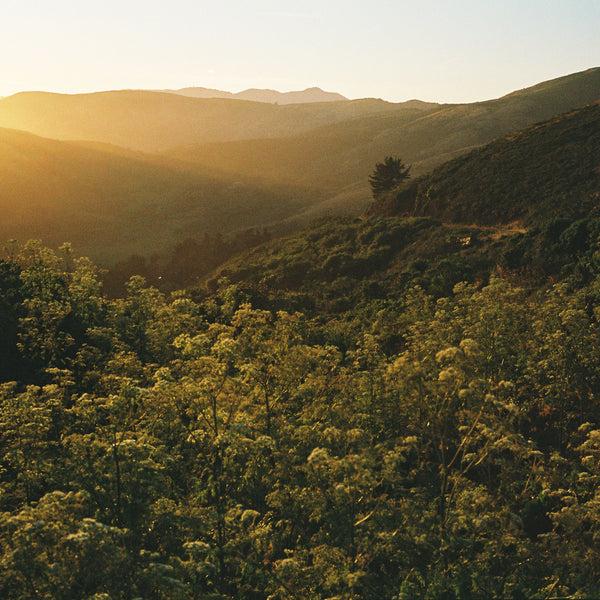 Rowing Blazers Heart Icon Piqué Polo