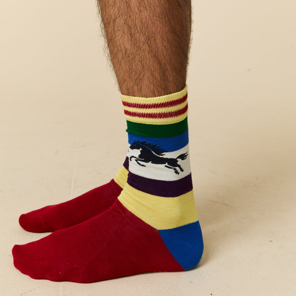 Rowing Blazers Men's Horse Blocked Socks