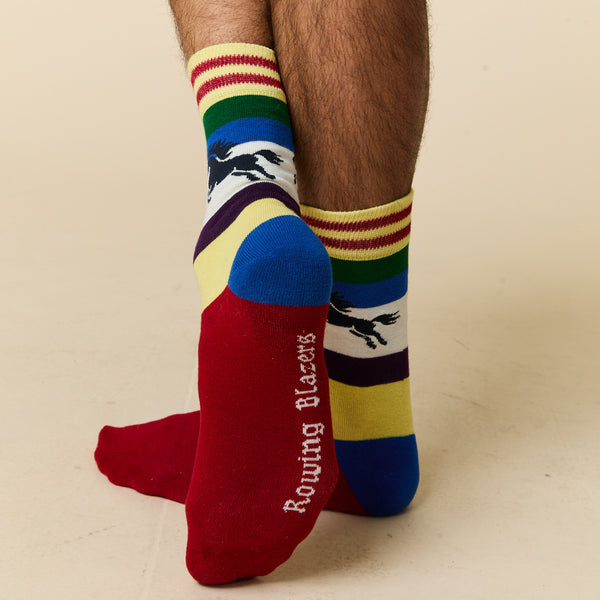 Rowing Blazers Men's Horse Blocked Socks
