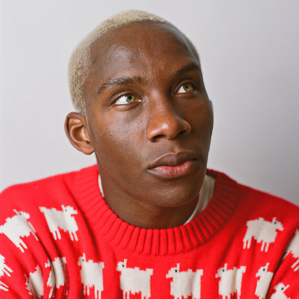 Rowing Blazers Warm & Wonderful Men's Wool "Diana Edition" Wool Sheep Sweater