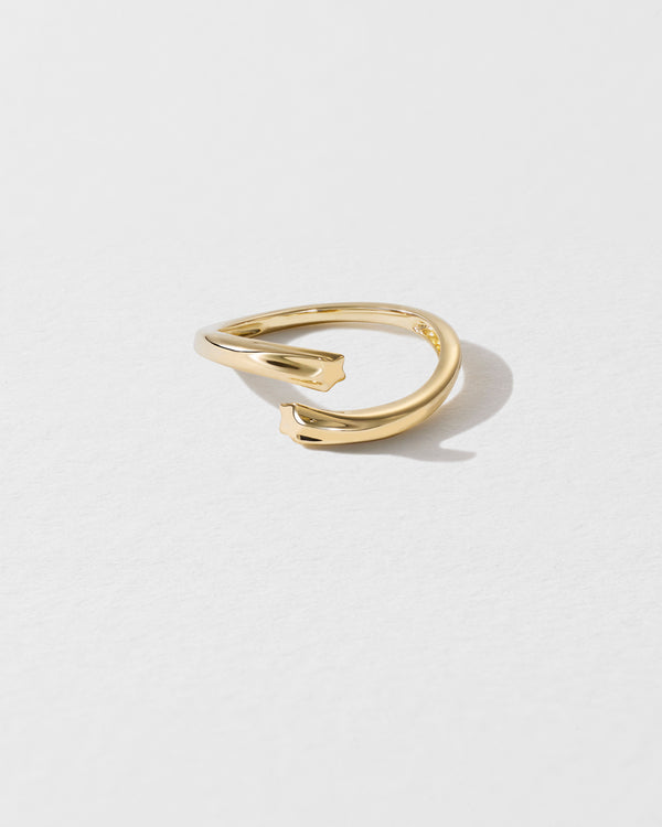 roxanne first Gold Shooting Star Ring