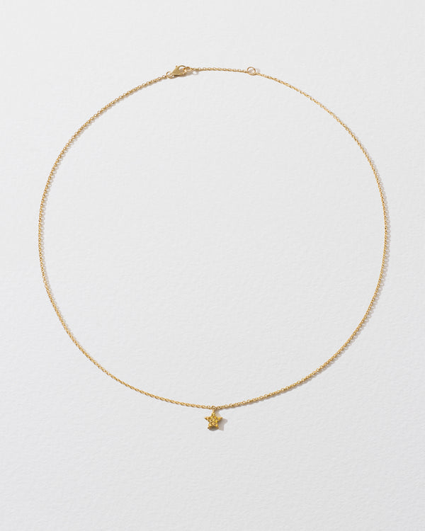 Roxanne First Yellow Sapphire Star Icon Necklace