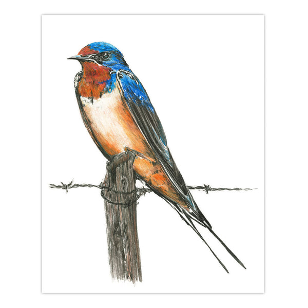 Royal And Langnickel AME-101 | Drawing Made Easy™ Box Set 31pc 8" X 10" 9 Project Box Set