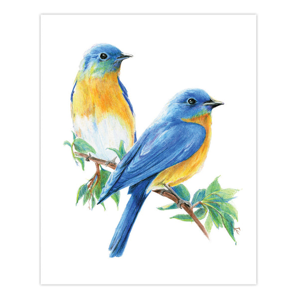 Royal And Langnickel AME-101 | Drawing Made Easy™ Box Set 31pc 8" X 10" 9 Project Box Set