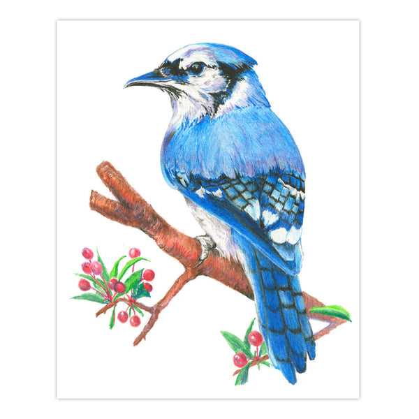 Royal And Langnickel AME-101 | Drawing Made Easy™ Box Set 31pc 8" X 10" 9 Project Box Set