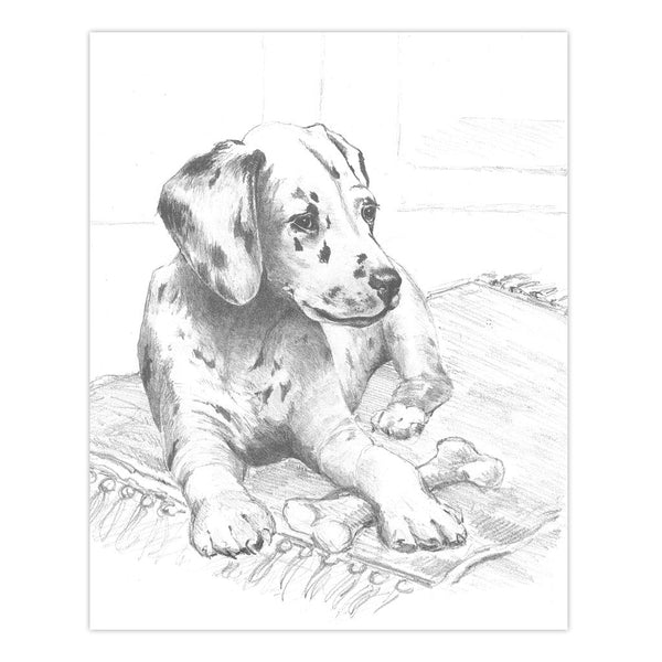 Royal And Langnickel AME-111 | Sketching Made Easy™ Box Set 33pc 8" X 10" 9 Project Box Set