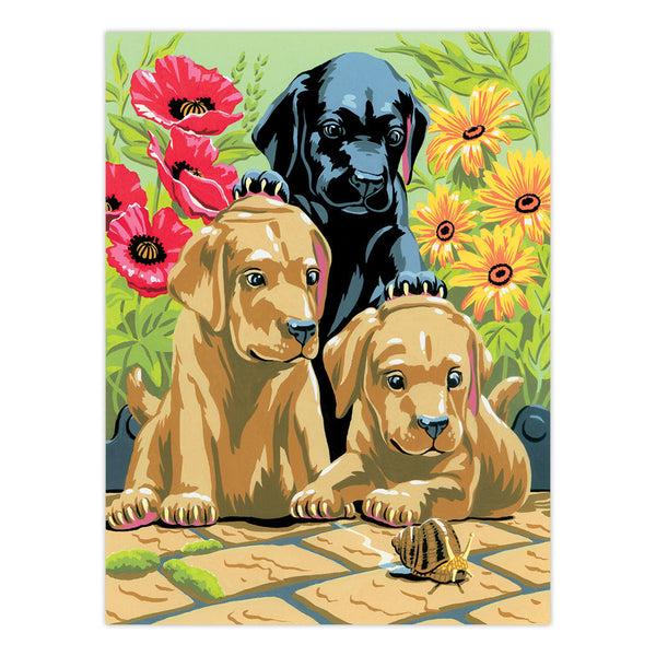 Royal And Langnickel AVS-101 | Art Adventure® 48pc 9 Project Art Activities Variety Set