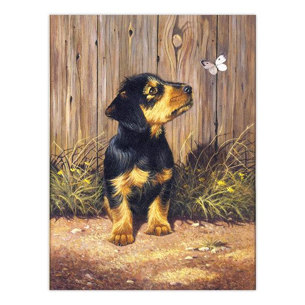 Royal And Langnickel AVS-102 | Art Adventure® 48pc 9 Project Art Activities Variety Set