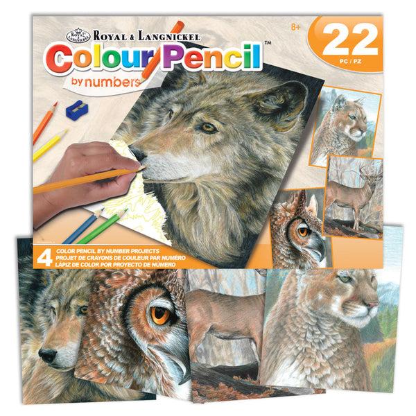 royal and langnickel AVS-CPN208 | Colour Pencil by numbers™ 22pc 8" x 10" Wildlife 4 Project Box Set